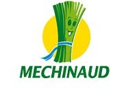 Mechinaud